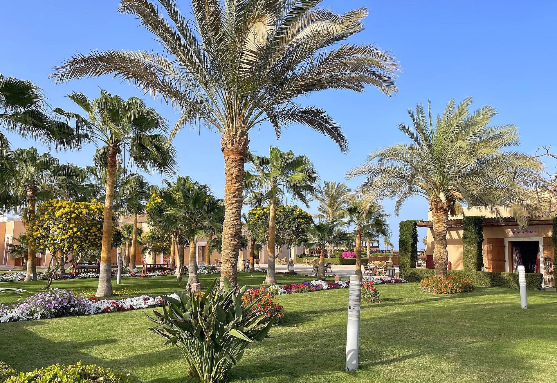 Hotel Gemma Resort Marsa Alam - Marsa Alam, Egypt - foto 4