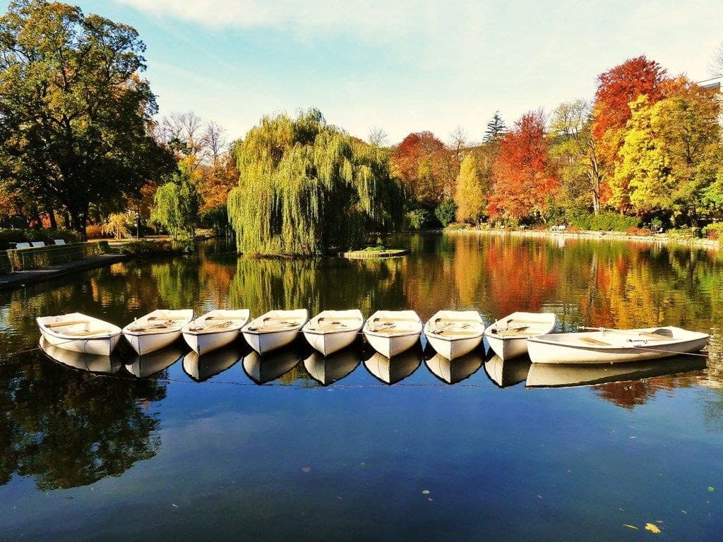 Dni ruží v Badene - Rakúsko, Rakúsko - foto 5