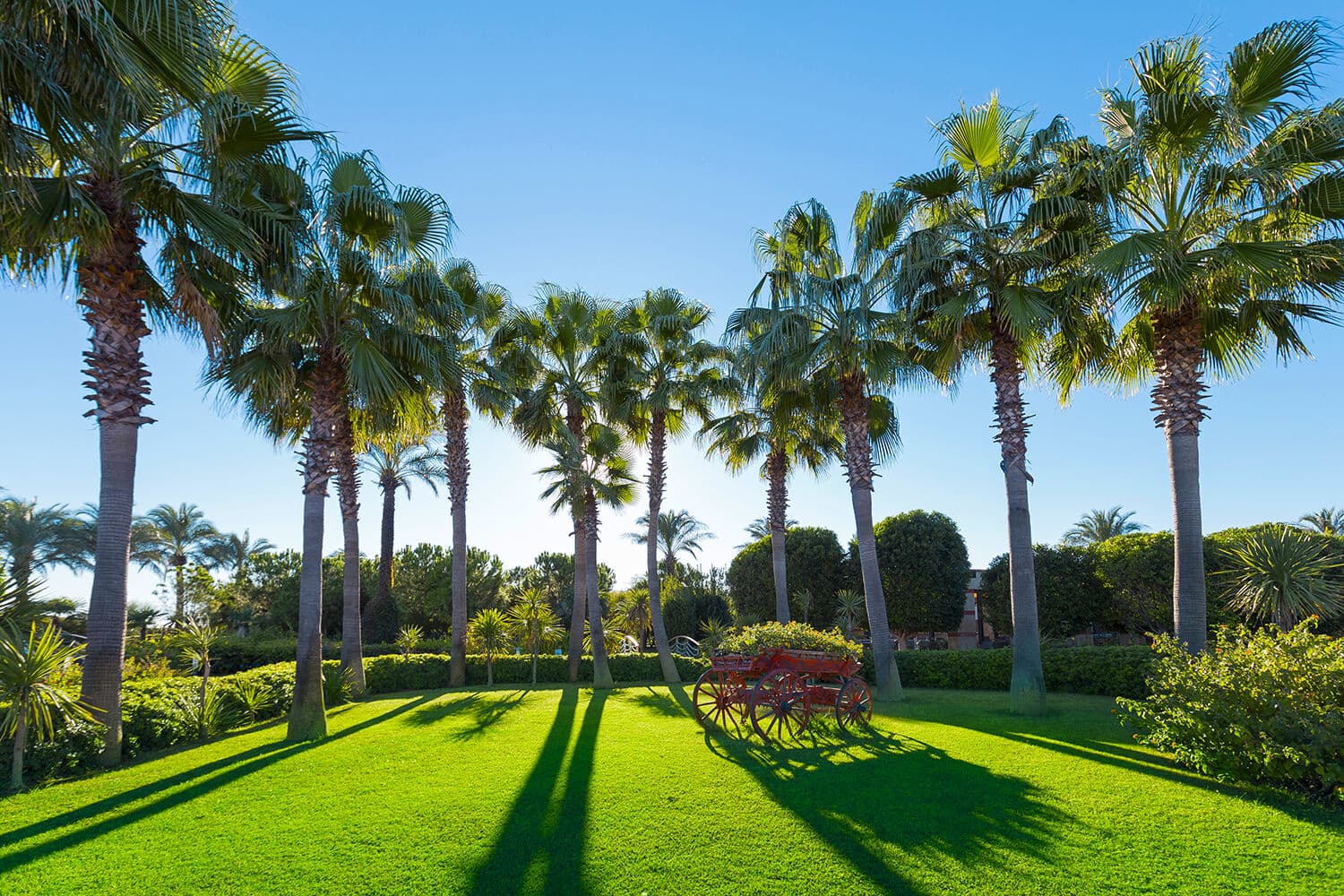 Hotel Miracle Resort - Lara, Turecko - foto 3