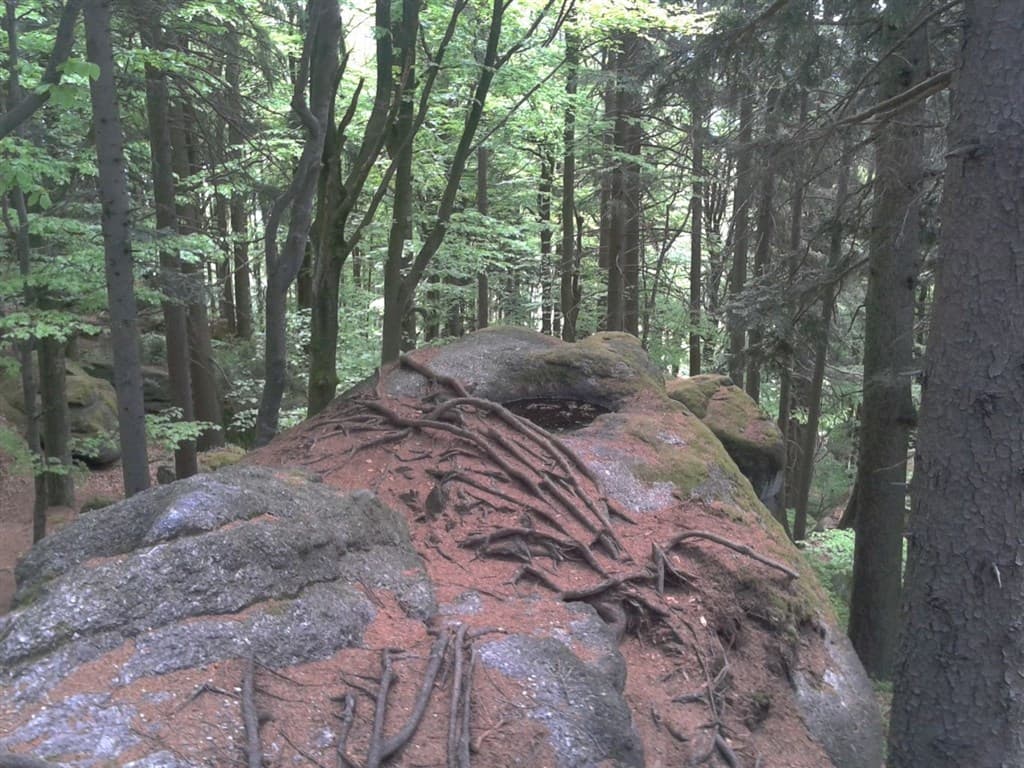 Prírodný park Myrafälle - Rakúsko, Rakúsko - foto 3