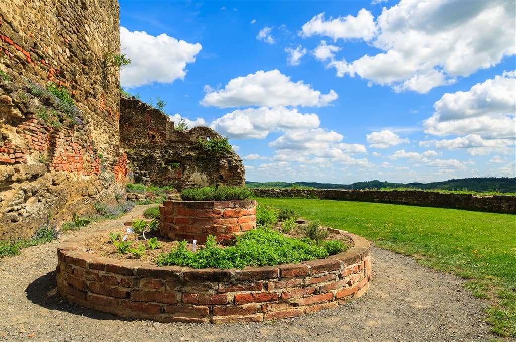 "Uhudler" a iné zaujímavosti Burgenlandu - Rakúsko, Rakúsko - foto 3