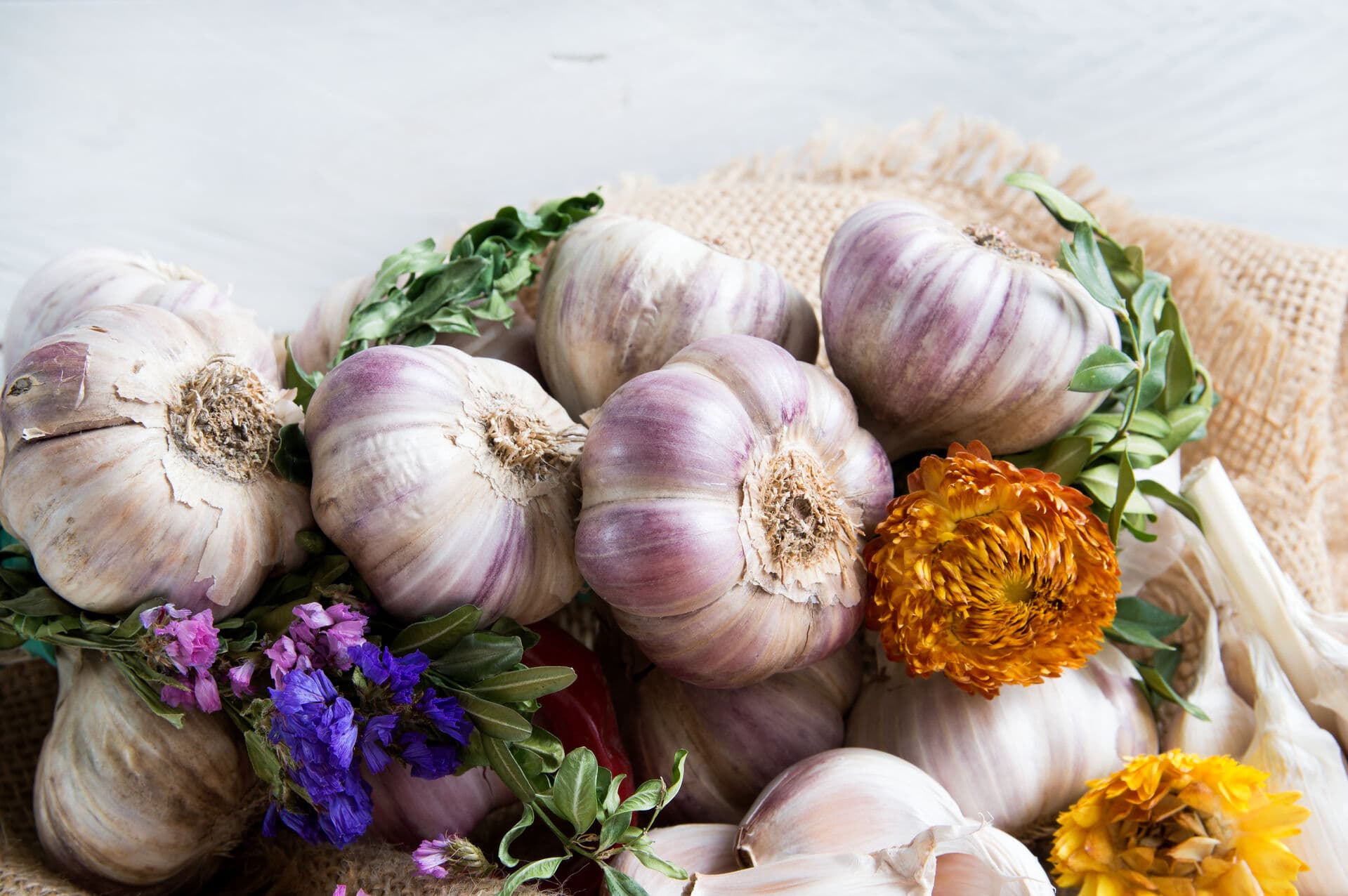 Festival cesnaku v Buchloviciach - Česká republika, Česká republika