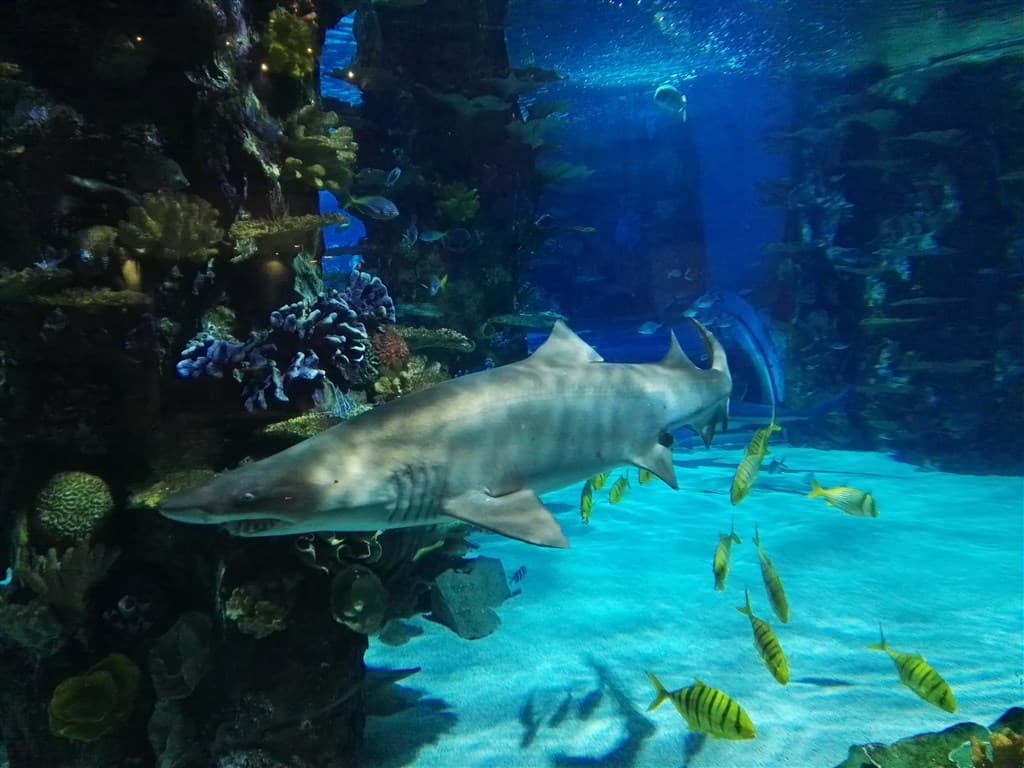 Tropikárium - Budapešť - Maďarsko, Maďarsko