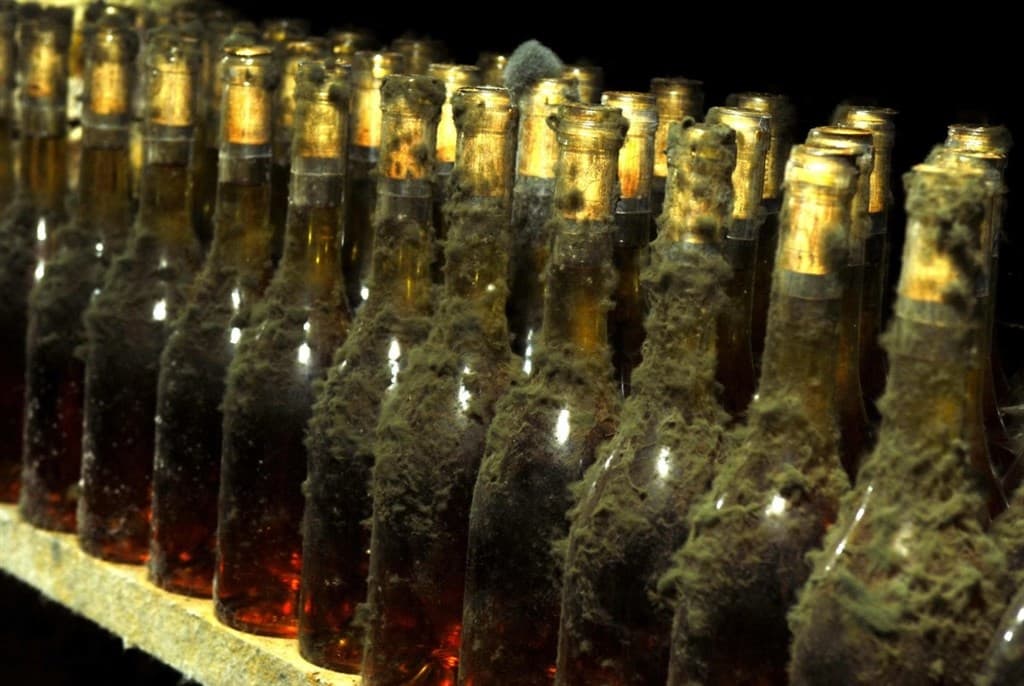 Tokaj a okolie - Maďarsko, Maďarsko - foto 5