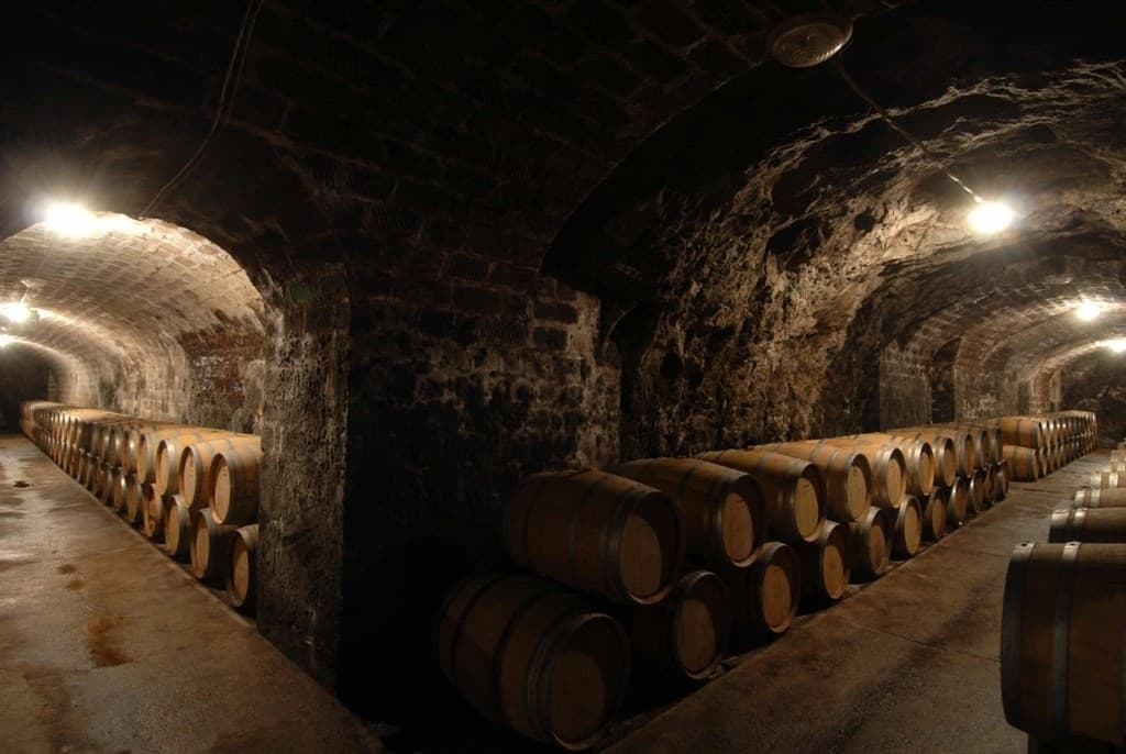 Tokaj a okolie - Maďarsko, Maďarsko - foto 3