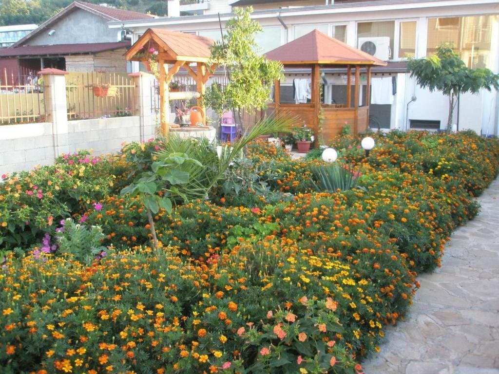 Morski Dar - Varna a okolie, Bulharsko - foto 5