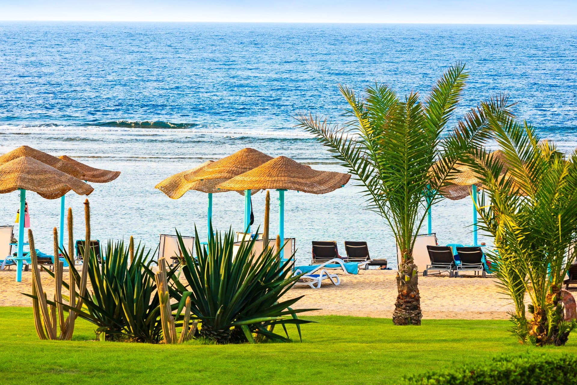 Swissôtel Resort El Quseir - Marsa Alam, Egypt - foto 4