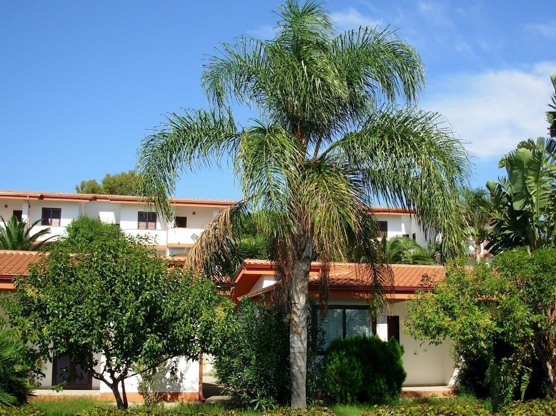 La Taverna Hotel Residence - Kalábria, Taliansko - foto 15
