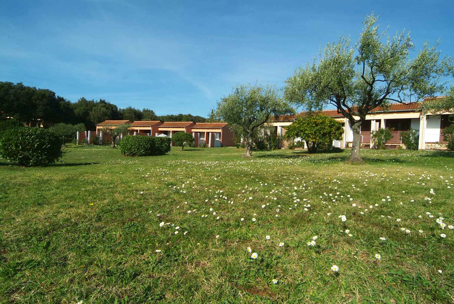 Apartmány Koversada - Vrsar, Chorvátsko - foto 24