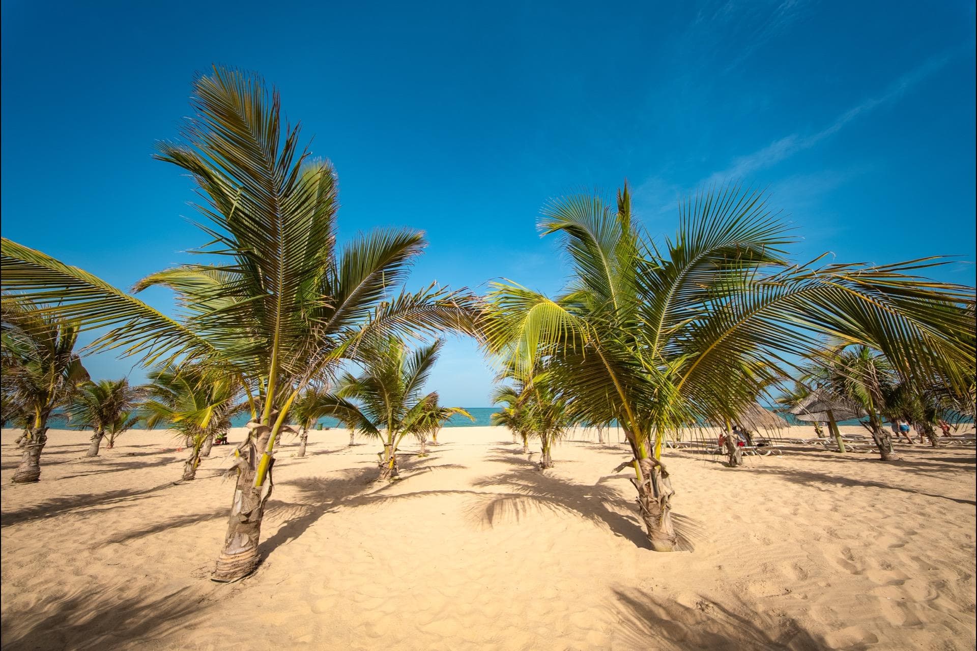Riu Baobab - Pointe Sarène, Senegal - foto 12