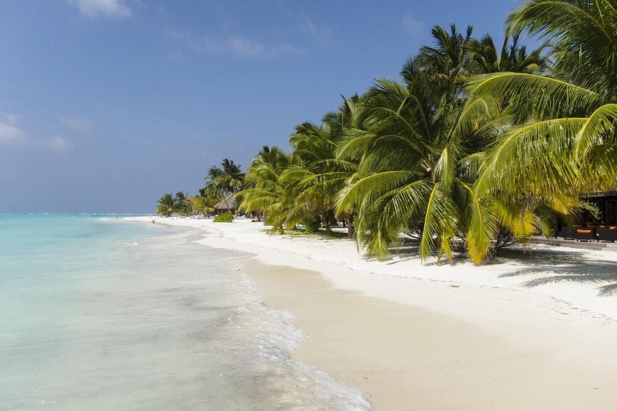 Meeru Island Resort & Spa - Maldivy, Maldivy - foto 3