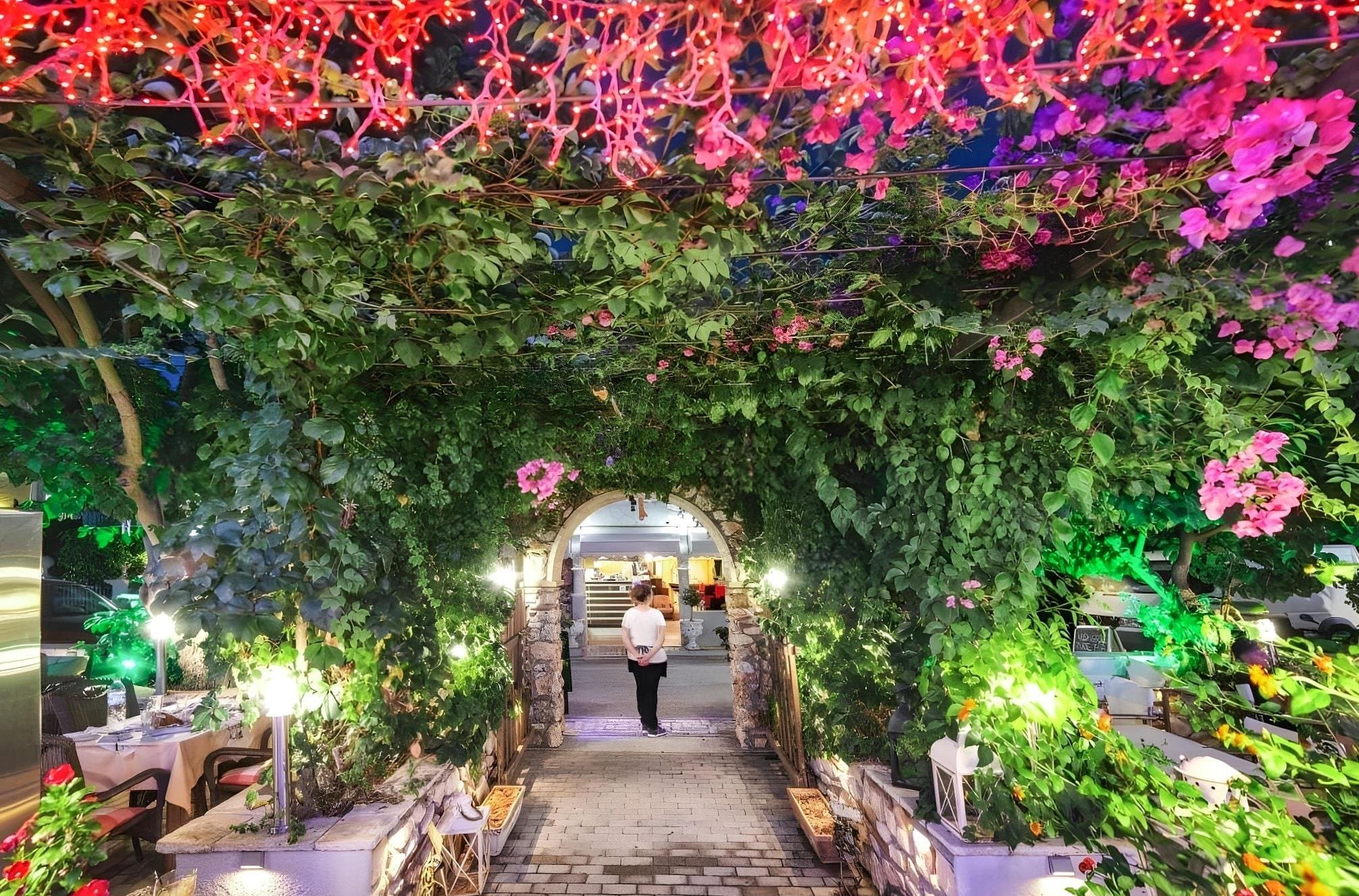 Georgina Inn - Zakynthos, Grécko - foto 20
