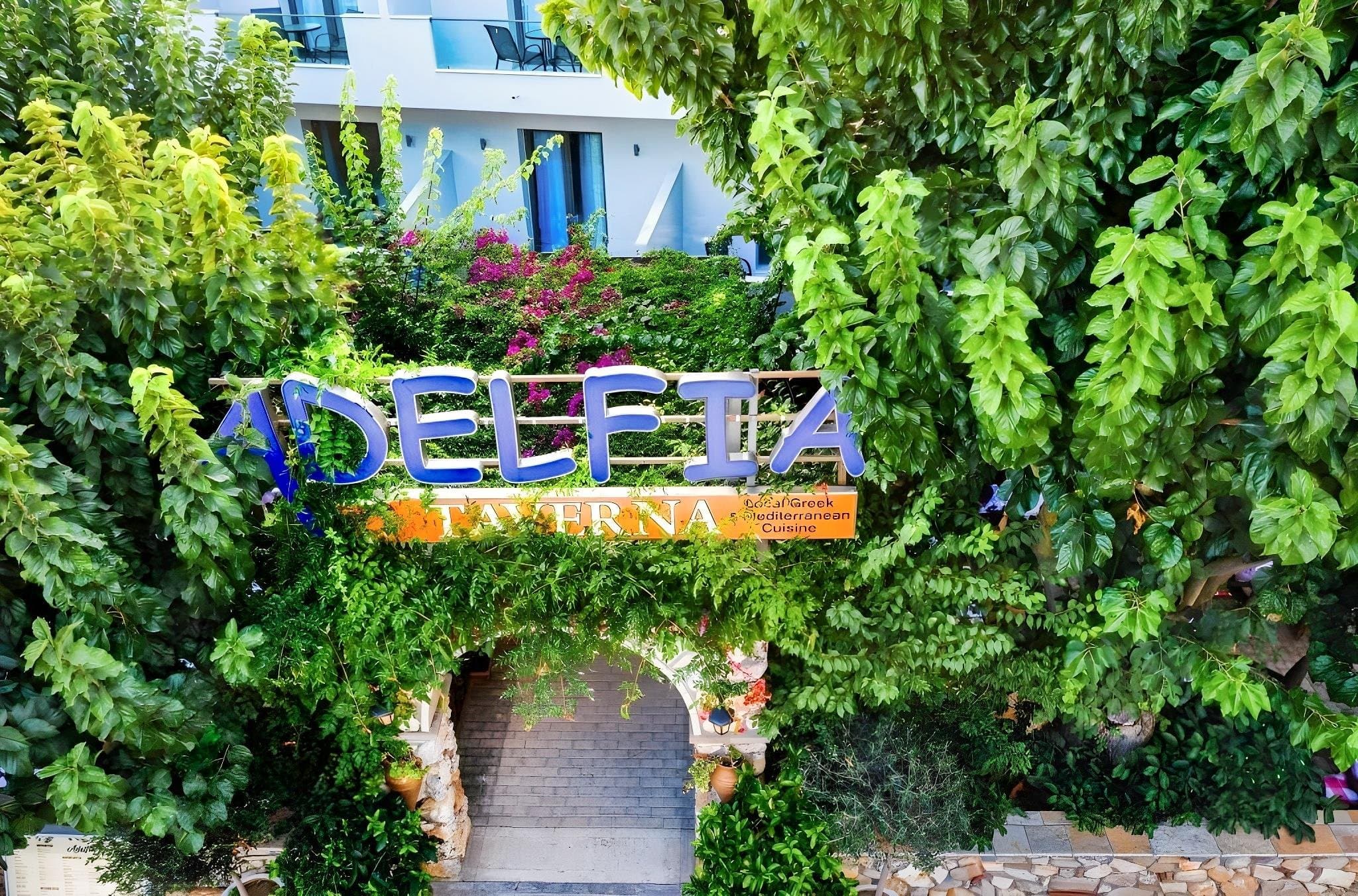 Georgina Inn - Zakynthos, Grécko - foto 19