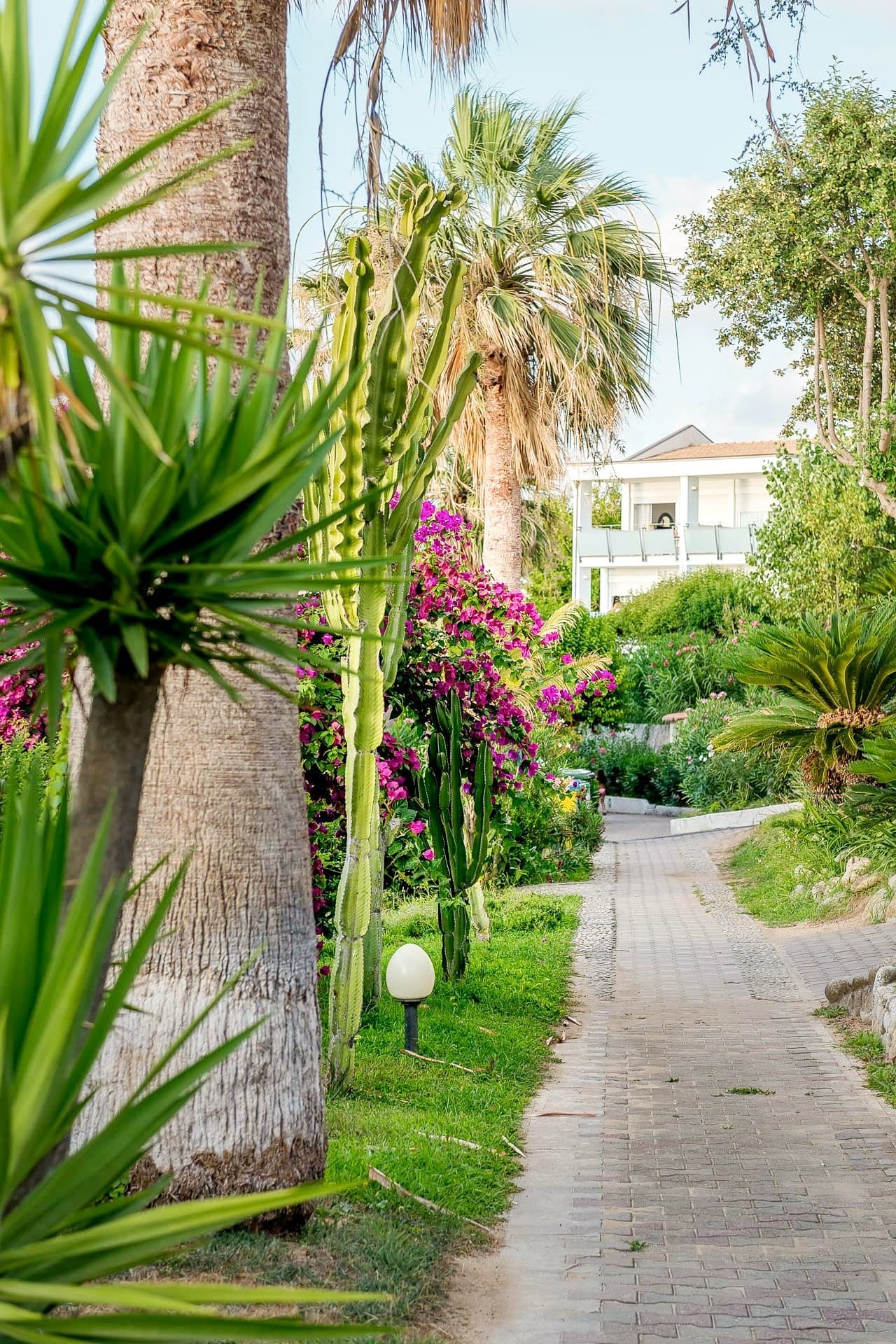 Villaggio Stromboli - Kalábria, Taliansko - foto 11